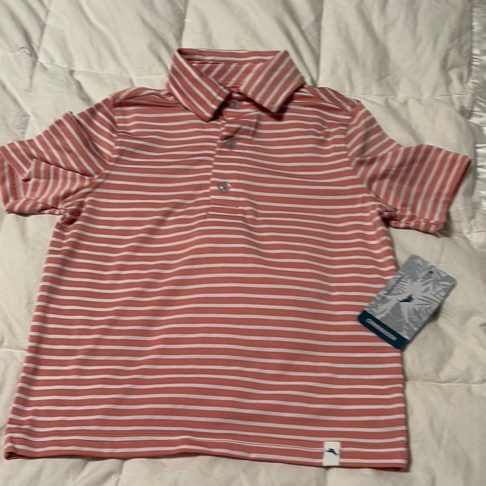 Striped Polo Shirt in Pink and White